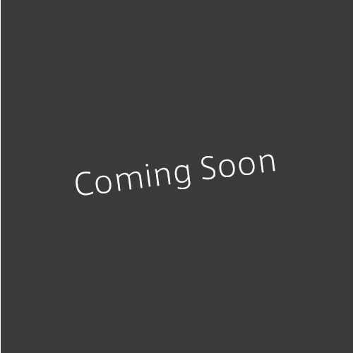 自由の意味を問うように